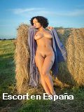 Sexo en Jalpa en 